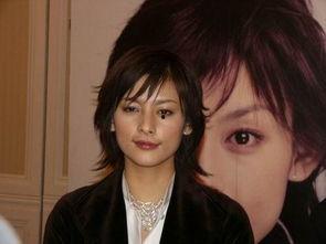 明星京片儿,明星演绎地道京片儿风采