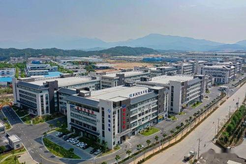 武平市上杭镇新闻头条,聚焦发展新动态，共话乡村振兴路