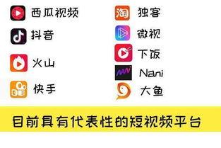 怎么做视频爆料赚钱软件,轻松实现财富增长的秘密武器
